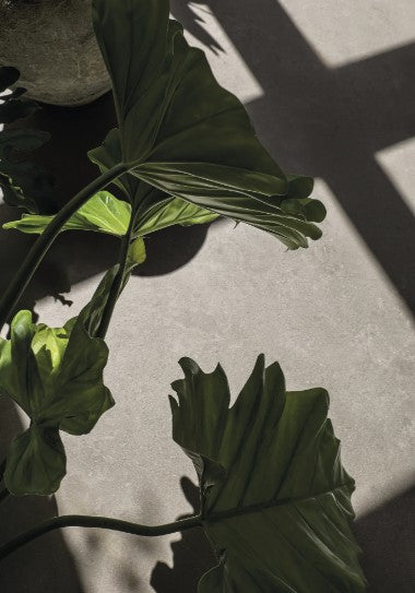 Porcelanato Esmaltado Rectificado Mate 60x120cm Light Gray St - Portobello Zesty