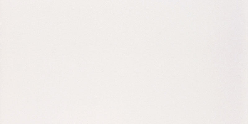 Revestimiento De Ceramica Brillante 30x60cm Blanco - Pointer Classico