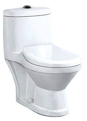 Inodoro Una Pieza Taza Alargada Con Asiento - Aqualia Kinder
