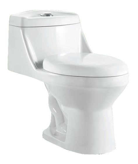 Inodoro Una Pieza Taza Alargada - Aqualia Dynamic